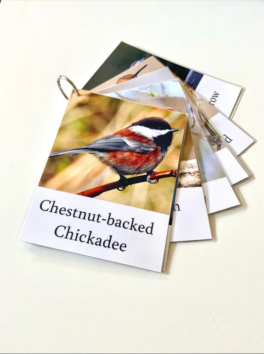 Pacific Northwest Birds Cards