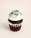 Cupcake Tic Tac Toe