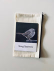 Pacific Northwest Birds Cards